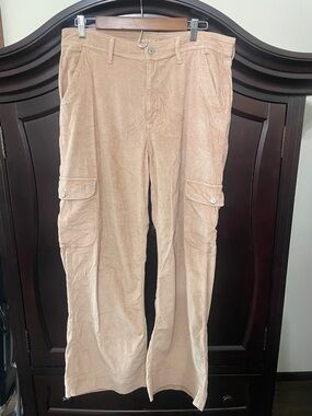 American Eagle Outfitters Men's Corduroy Cargo Pants in Light Brown
